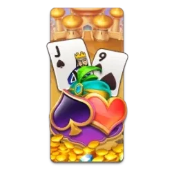 29 Cards